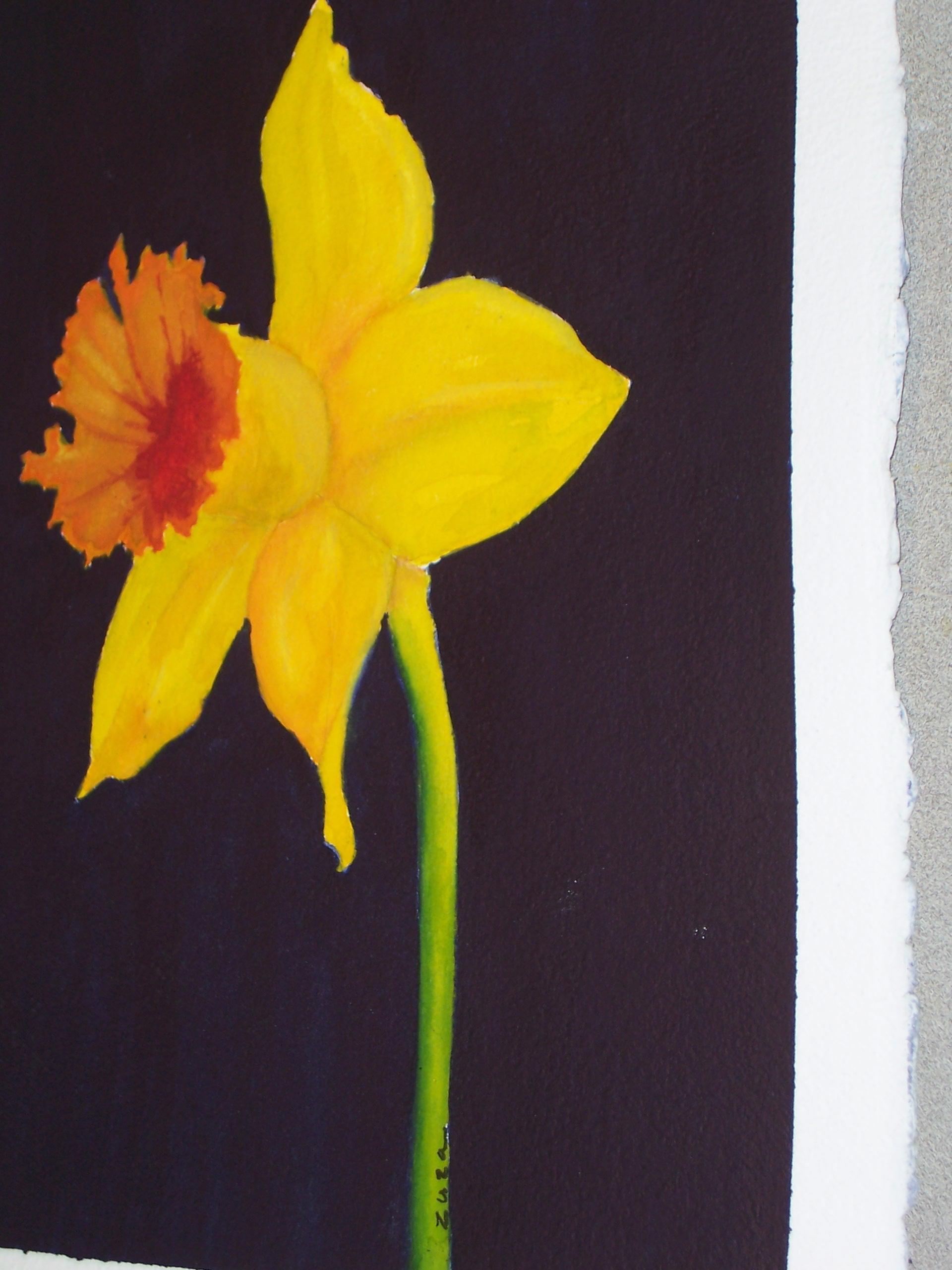 Spring's Contrasts