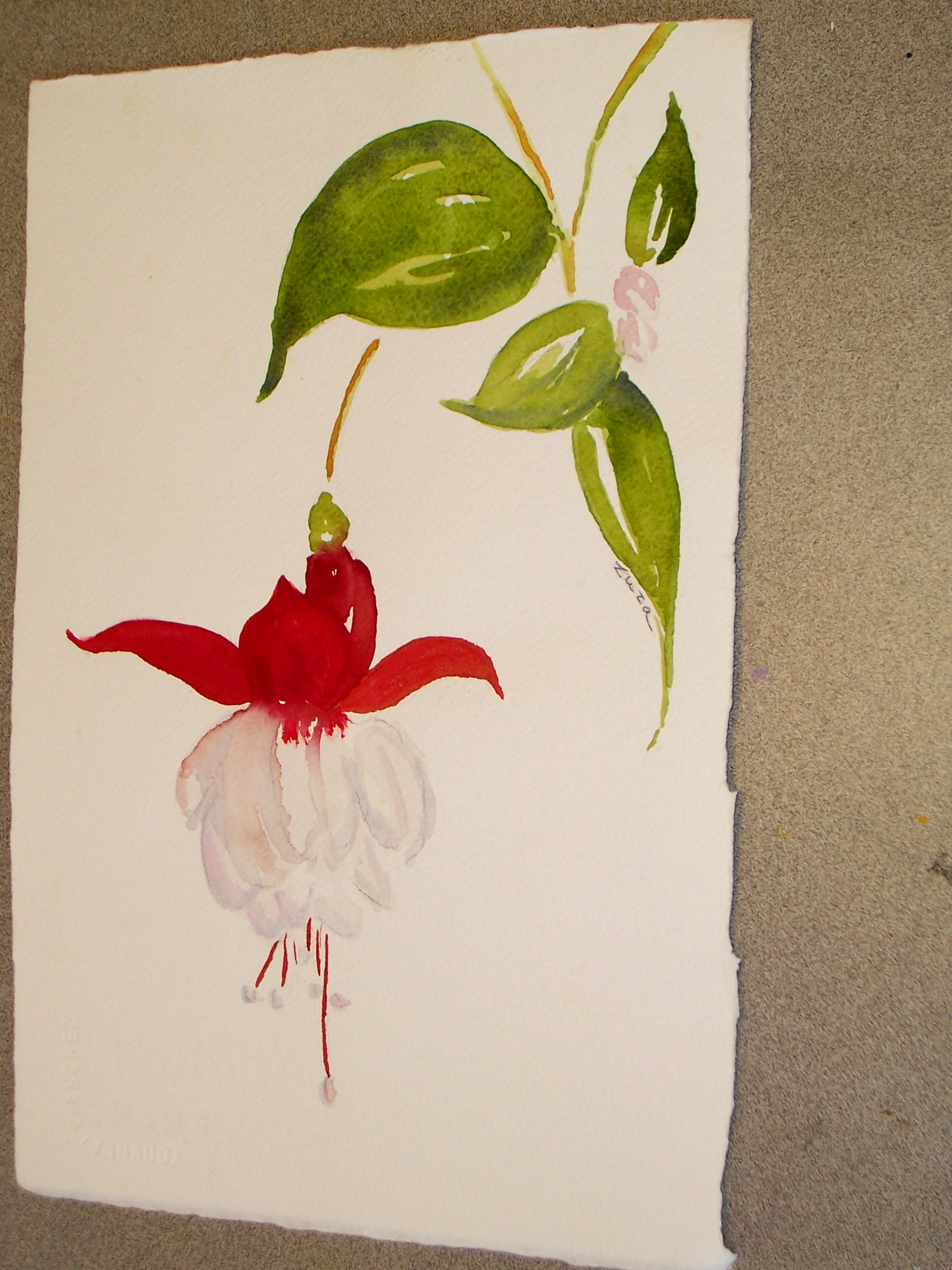 Bleeding Heart