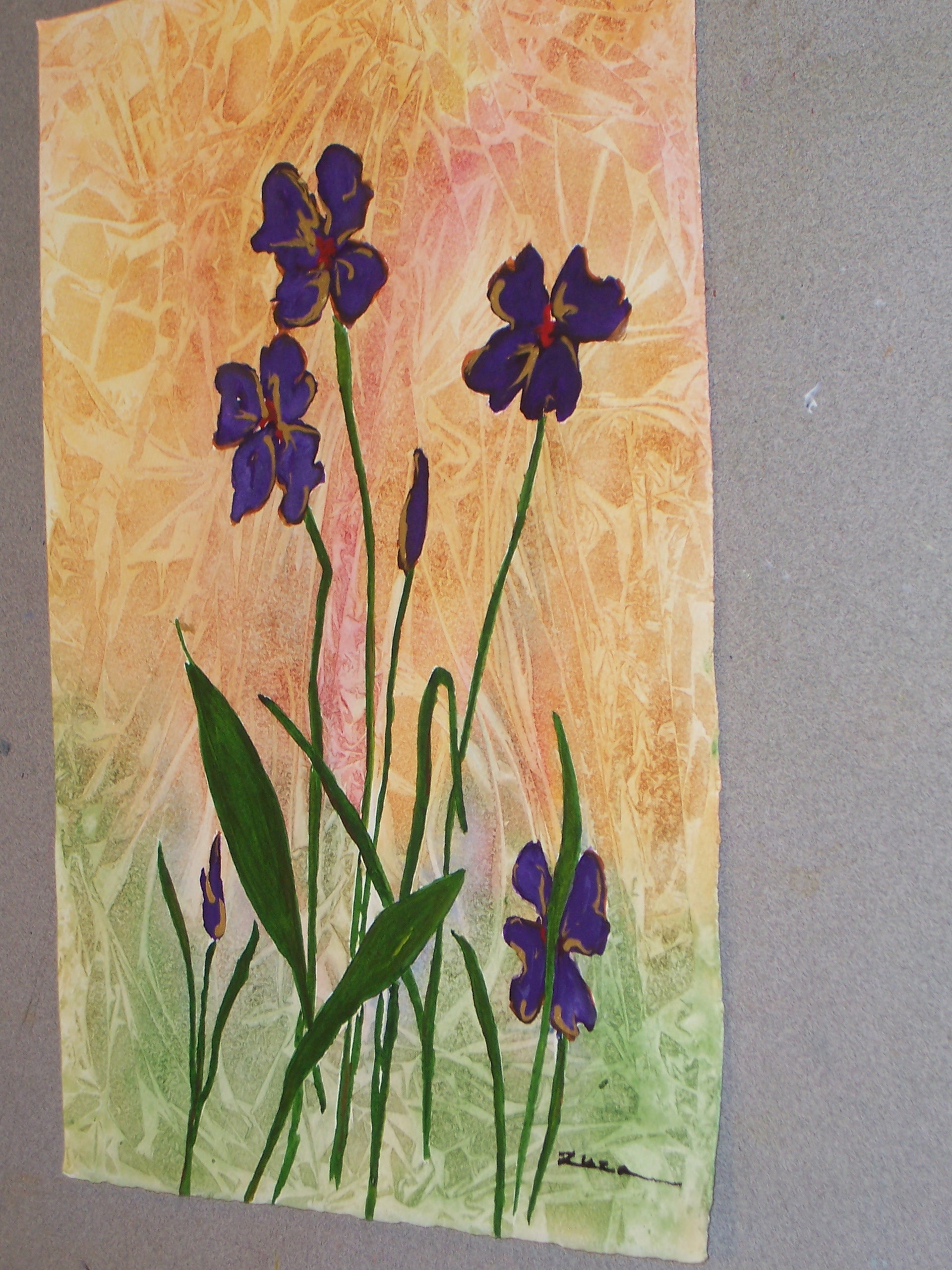 Iris and Gold