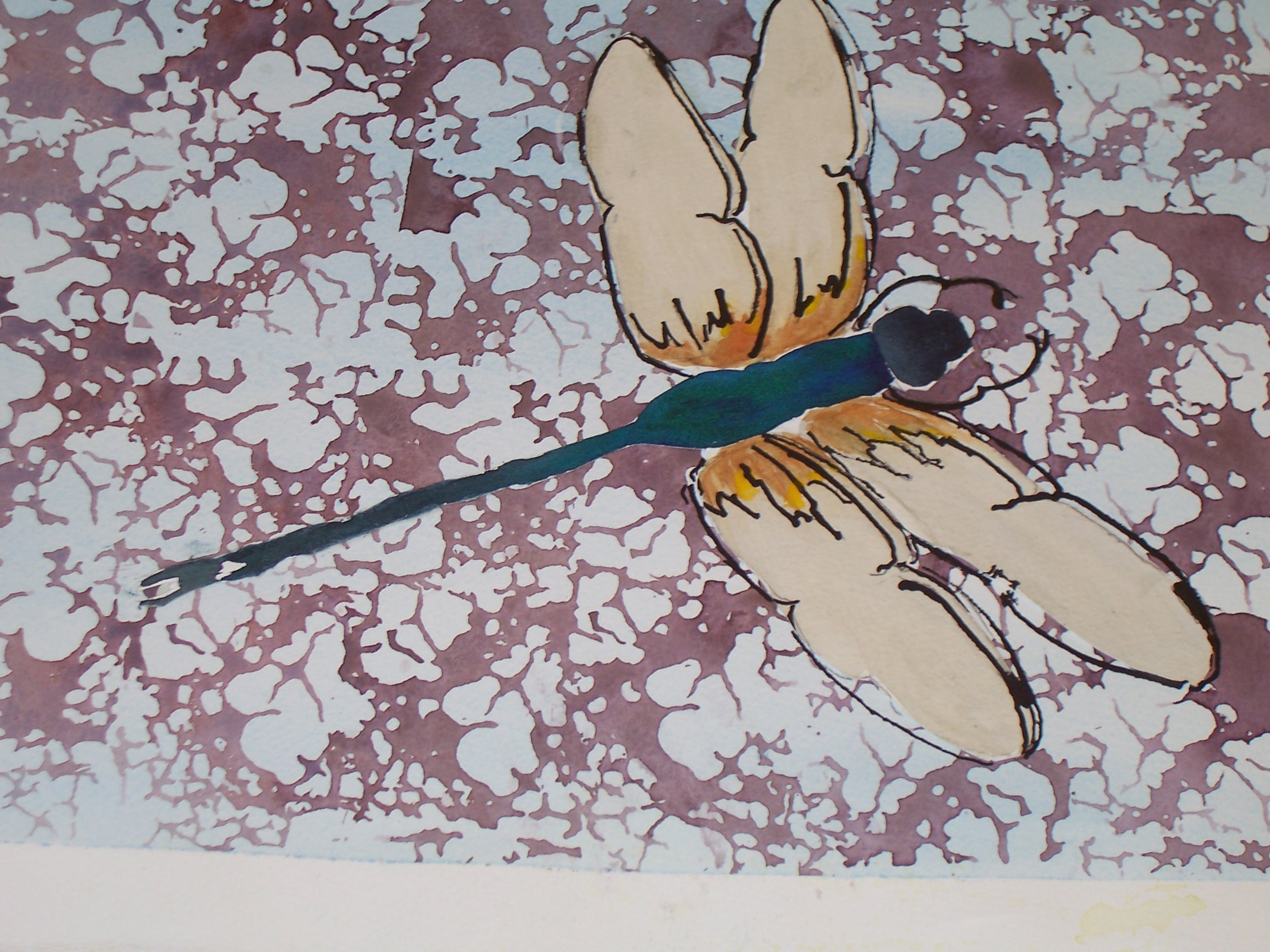 Dragons Fly